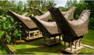 Nhà sàn Indonesia giống hệt ngôi nhà khắc trên trống đồng của người Việt cổ