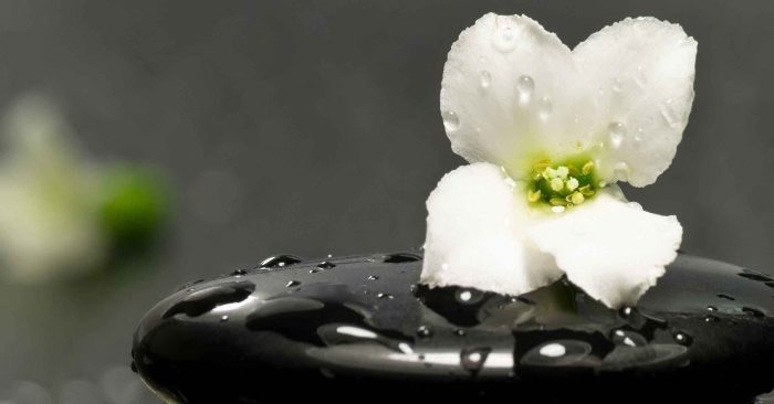 Bài học đáng giá cho những ai có tính nóng vội