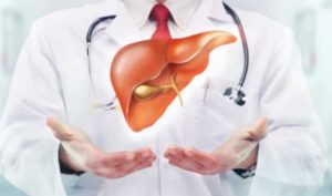 6 điều quan trọng giúp nuôi dưỡng và bảo vệ gan