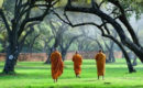Bất hạnh nào cũng có duyên cớ, đừng chỉ mãi than ông trời bất công