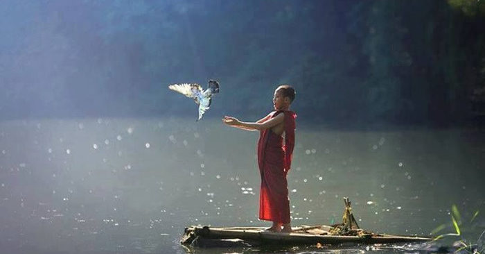 Biết đủ, biết dừng, biết thuận theo tự nhiên