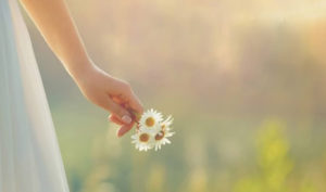 Lòng biết ơn là quy phạm căn bản để làm người