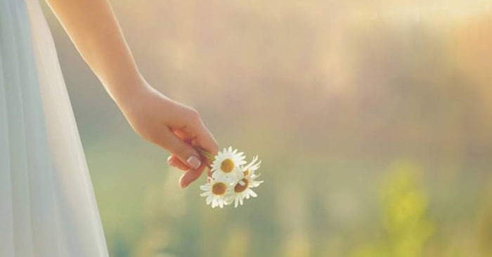 Lòng biết ơn là quy phạm căn bản để làm người