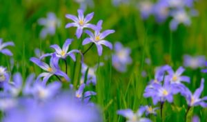 Đừng tham lợi nhỏ mà bỏ quên hạnh phúc của chính mình