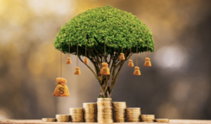 Cả đời này bạn giàu sang hay nghèo khổ, phải chăng đều có định số?