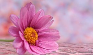 Đừng dùng sai lầm của người khác để trừng phạt chính mình