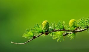 Tờ 20 đô và giá trị của con người