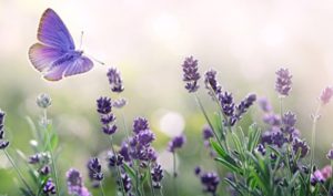 Đừng vì một chút lợi nhỏ mà đánh mất bản thân mình