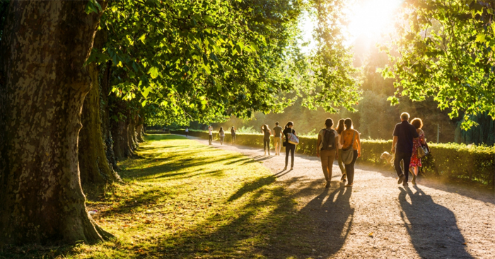 Một thói quen đơn giản nhưng có hiệu quả ngang với thuốc chống trầm cảm