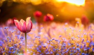 6 lời không nên nói trong đối nhân xử thế