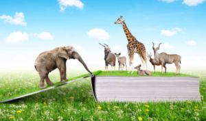 Động vật nói tiếng người, có thể dự đoán tốt xấu