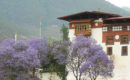 Tiểu vương Bhutan từng là một nhà sư Trung Quốc trong kiếp trước