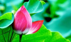 Kiểu người làm cảm động đất trời và dịch bệnh rời xa