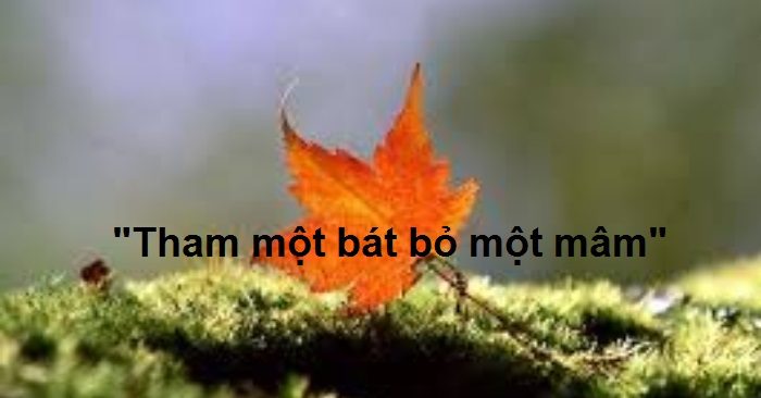 Câu chuyện: “Tham một bát bỏ một mâm”