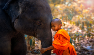 Câu chuyện Thần truyền: Ý nghĩ thuần khiết, người lương thiện có phúc báo tốt đẹp