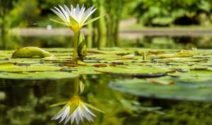 Chỉ cần không bỏ cuộc, điều kì diệu sẽ xảy ra