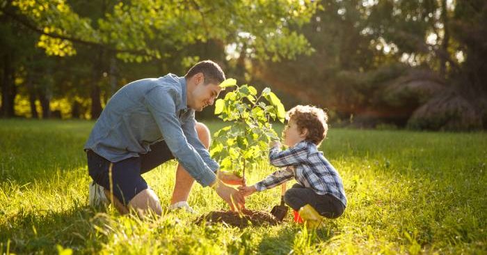 Lợi ích bất ngờ của không gian xanh đối với sự phát triển não bộ của trẻ