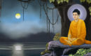 Con đường thành Đạo của Đức Phật Thích Ca Mâu Ni