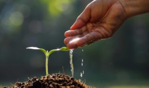 Dùng tiền vượt quá phúc phận, phải chịu hậu quả nặng nề