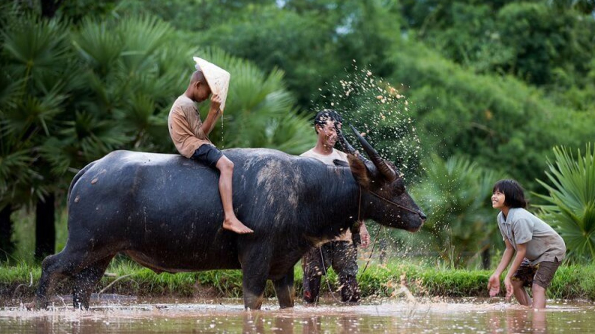 bao giờ cho đến ngày xưa