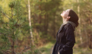 Nghiên cứu: Nghe tiếng chim hót giữa thiên nhiên giúp bạn hạnh phúc hơn