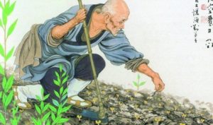 Đạo trời đền đáp lòng người