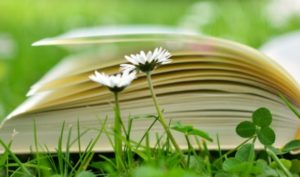 “Thiên tài là do 1% thiên bẩm, 99% là nhờ nỗ lực”