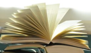 Nôn nóng thì khó nghe được lời khuyên tốt