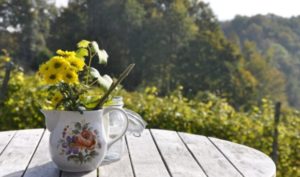 Bớt hỏi 5 điều này thì cuộc sống sẽ bớt được nhiều phiền não