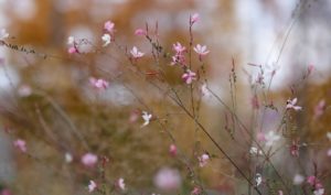 Tính cách một người sẽ bộc lộ khi đối diện với phú quý