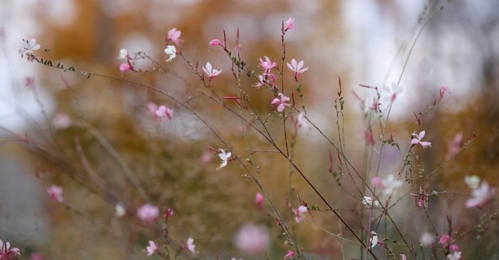 Tính cách một người sẽ bộc lộ khi đối diện với phú quý