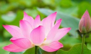 Cái gì quá cũng không tốt, 10 điều cần ghi nhớ