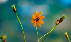 Quan niệm sai lầm dẫn tới nhận thức sai lầm