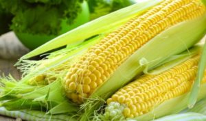 Bất ngờ với tác dụng chữa bệnh của ngô