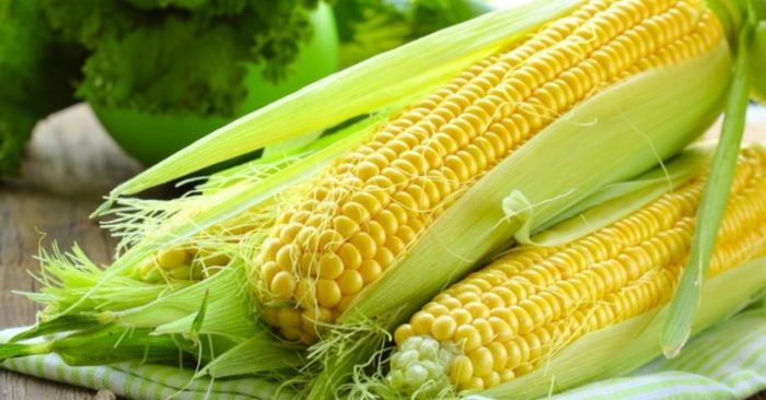 Bất ngờ với tác dụng chữa bệnh của ngô