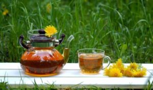 5 cây thảo dược quen thuộc tốt cho hệ tiêu hóa