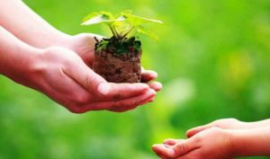 Tích đức và tích nghiệp từ tổ tiên là thế nào?