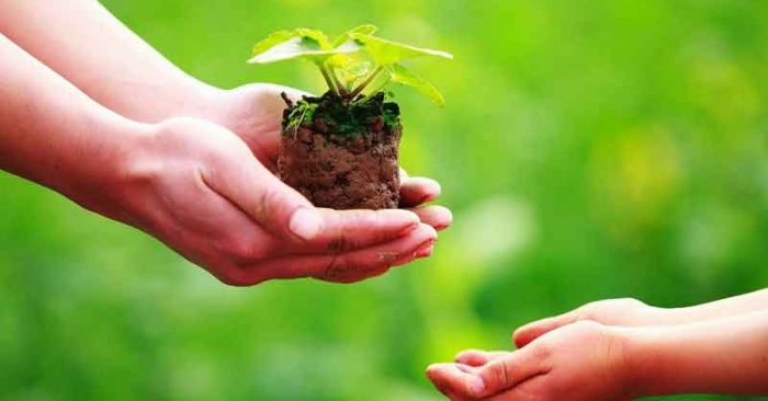 Tích đức và tích nghiệp cho con cháu là có từ tổ tiên