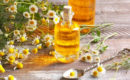 6 loại tinh dầu có tác dụng kháng khuẩn cực tốt