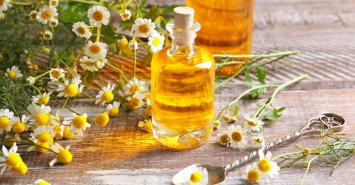 6 loại tinh dầu có tác dụng kháng khuẩn cực tốt