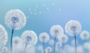 Cần tỉnh táo khi kết giao với người khác