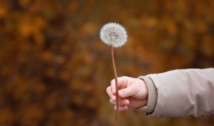 Tôn trọng đi trước, an hòa theo sau