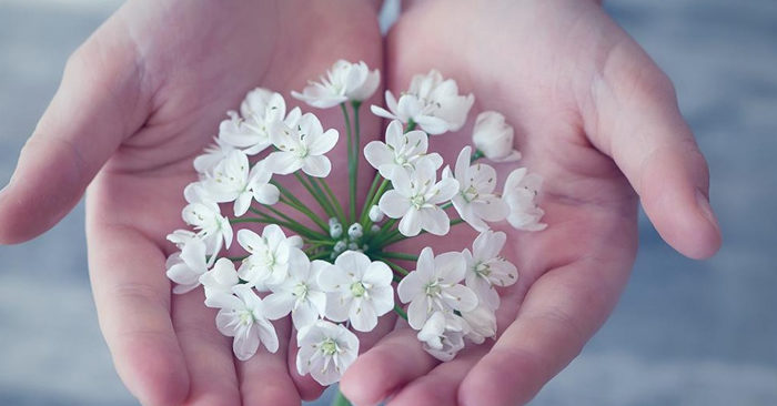 “Thiện hữu thiện báo” - lòng tốt vô tư trao đi, phúc báo tự nhiên tìm đến