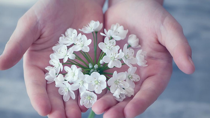 “Thiện hữu thiện báo” - lòng tốt vô tư trao đi, phúc báo tự nhiên tìm đến