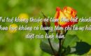 Người có tâm thuật bất chính thường có 3 đặc điểm này – Hãy tỉnh táo tránh xa