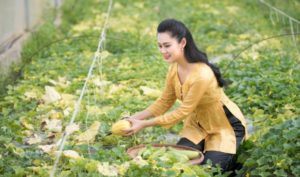 Làm được 3 điều này, cuộc đời tự nhiên bình an