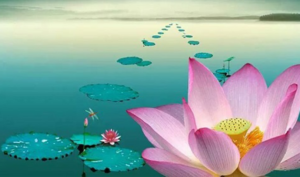 Phú quý do trời định, không có thì cưỡng cầu cũng vô ích