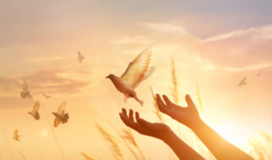 “Tha thứ cho người được gì thì nên tha” câu tiếp theo là gì?