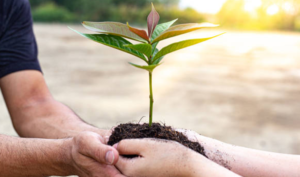 Những câu chuyện nhân quả thần bí